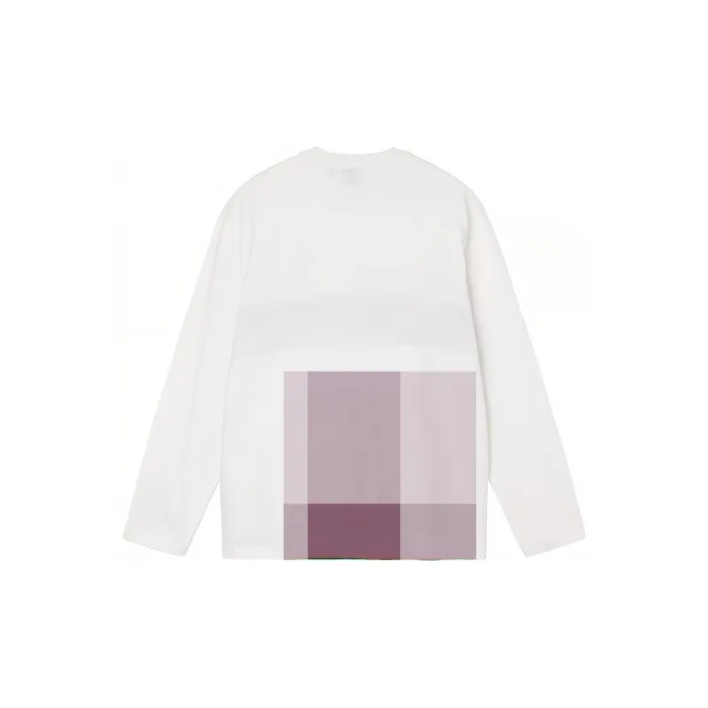 Stussy Color Block Long Sleeve Crew-1