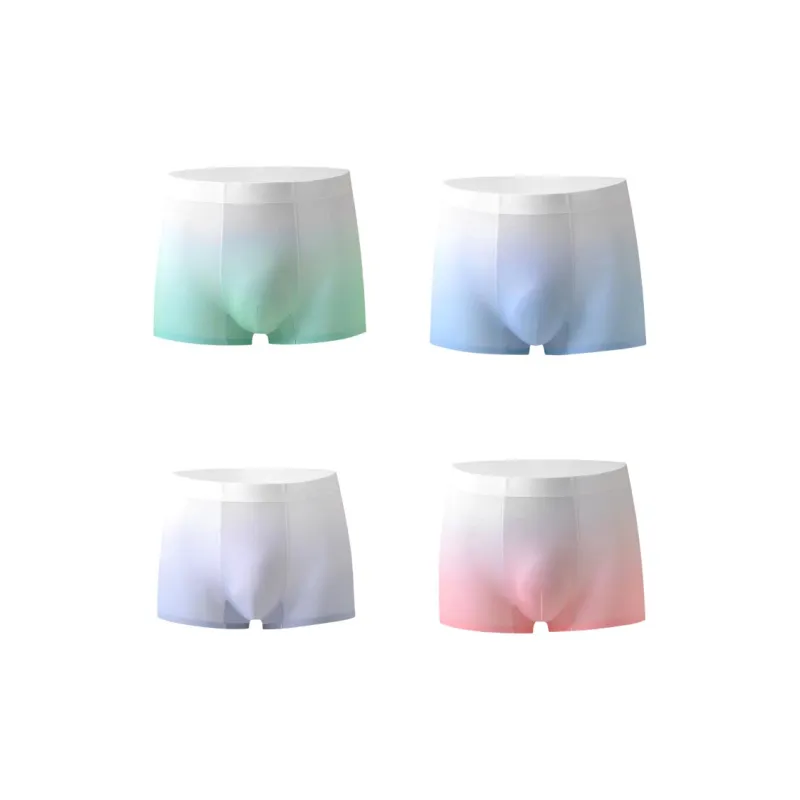 Vine Color Underpants Men's 4 Pack-5