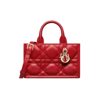 DIOR BookTote Handbags