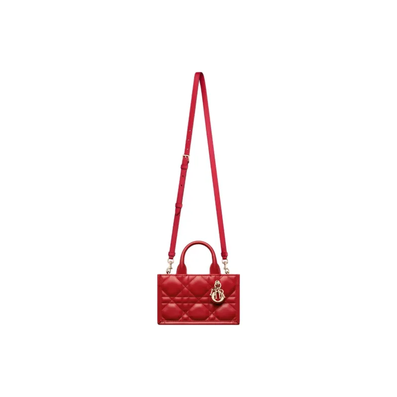 DIOR BookTote Handbags-1