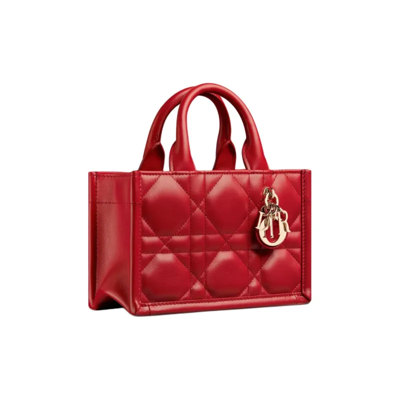 DIOR BookTote Handbags-2