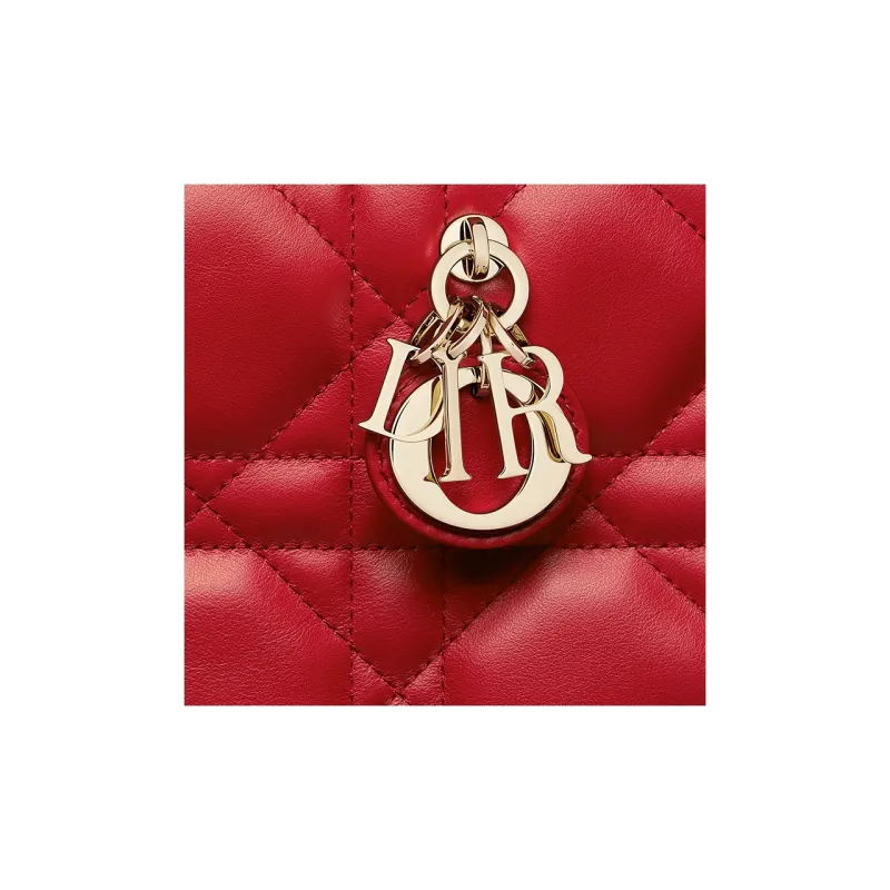 DIOR BookTote Handbags-5