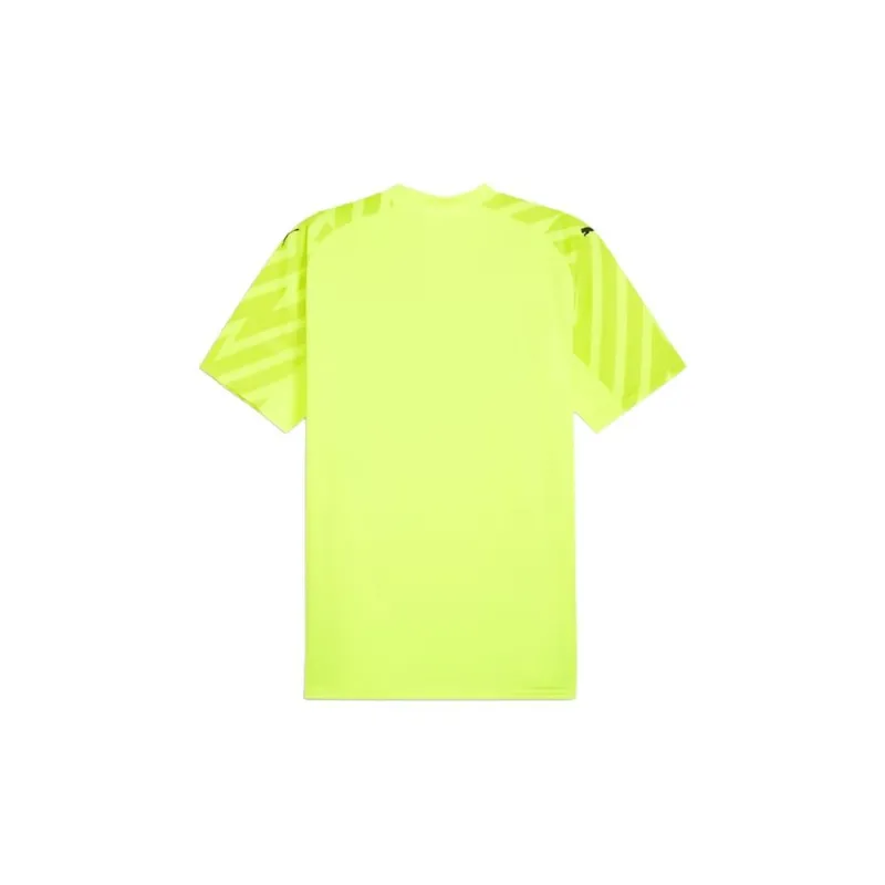 PUMA Switzerland Goalkeeper Jersey Soccer Jerseys Men's Yellow-1