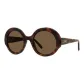 Tortoiseshell