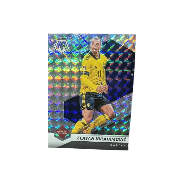 PANINI Sports Cards-0