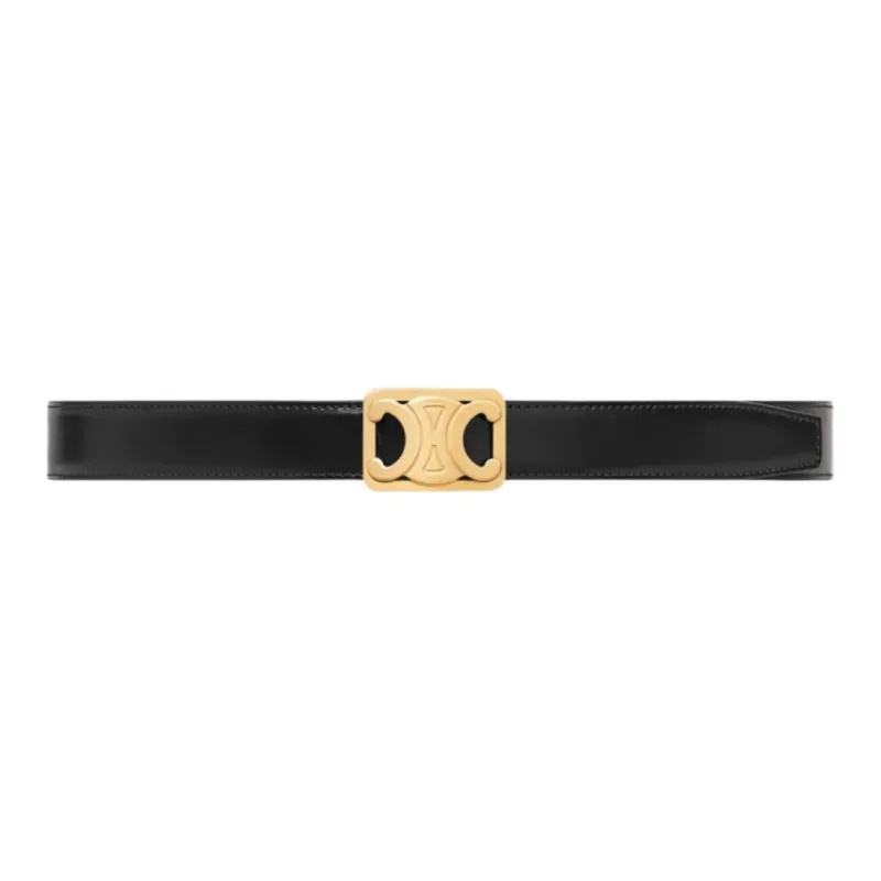 CELINE Medium Reversible Framed Triomphe Belt In Taurillon And Natural Calfskin-2