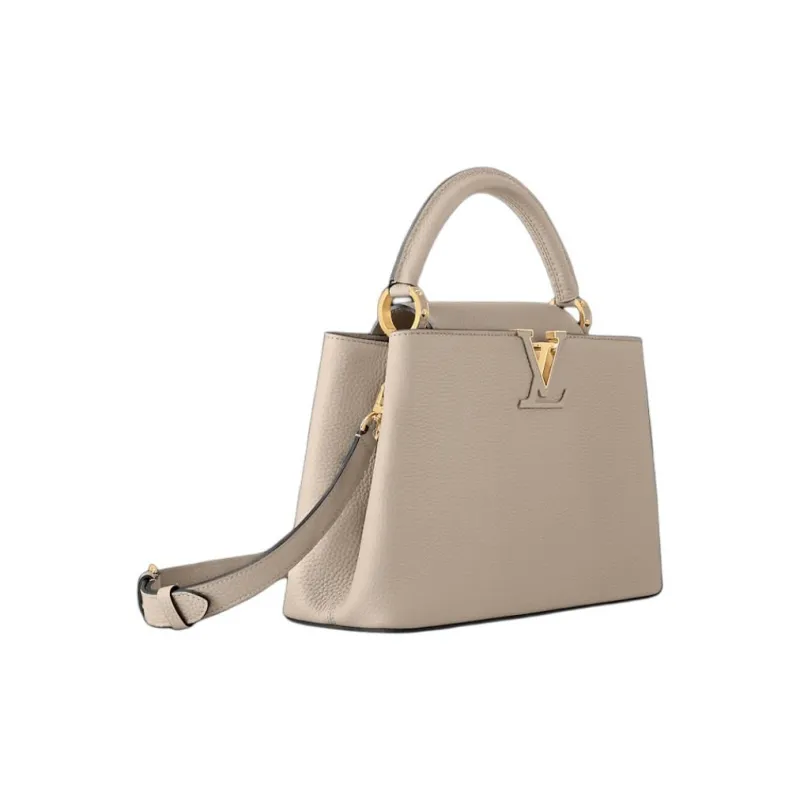 LOUIS VUITTON M24727 Capucines Mm-1