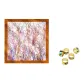 Gummies Orange+Random Silk Scarf Buckle