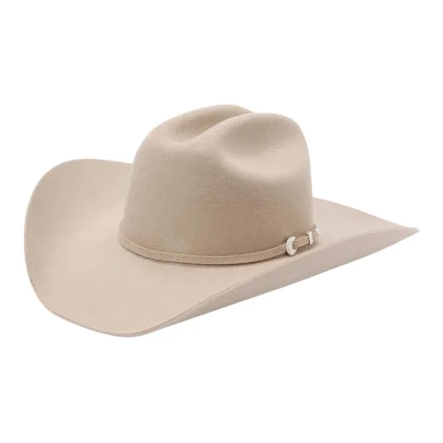 STETSON 기타 모자 남녀공용
