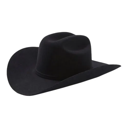 STETSON 펠트 기타 모자 남녀공용