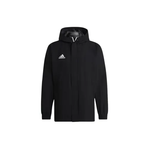 Adidas Entrada 22 Jackets Men Black