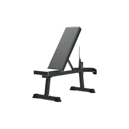 Ph.D. research Sit-Up Machines