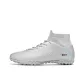 Silver Turf