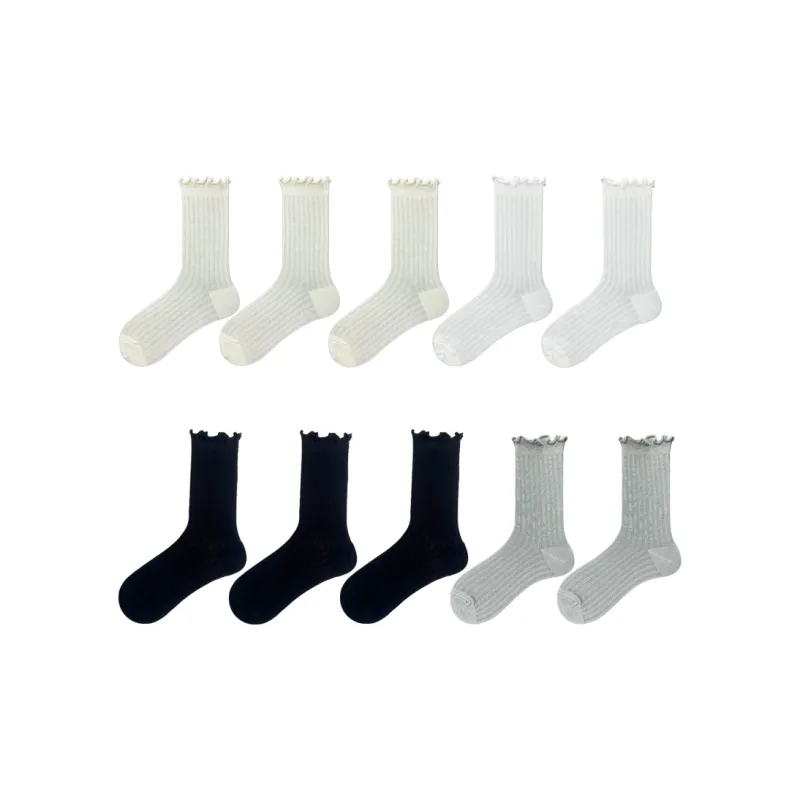 Evening Classroom Mid Calf Socks Women's 8 Pack-18