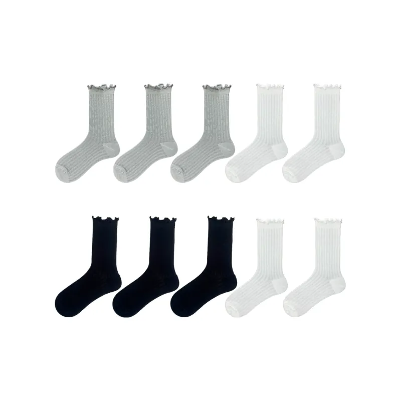 Evening Classroom Mid Calf Socks Women's 8 Pack-17