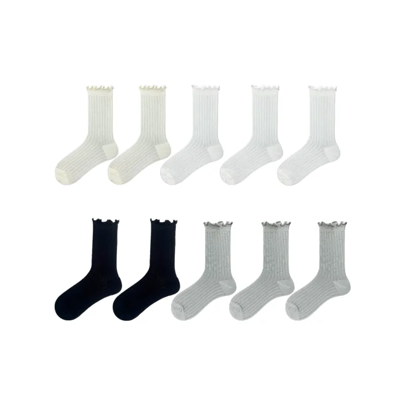 Evening Classroom Mid Calf Socks Women's 8 Pack-19