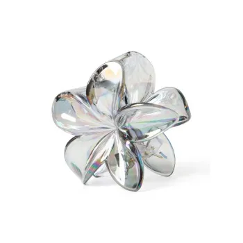 Specialoutlook Acrylic Hair Clips Women's