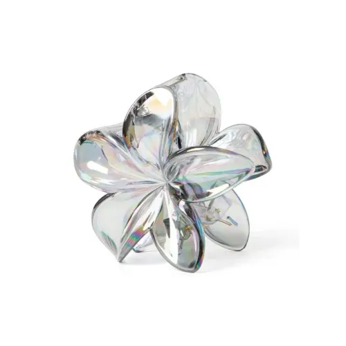 Specialoutlook Acrylic Hair Clips Women's