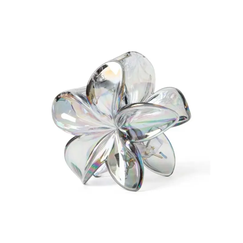 Specialoutlook Acrylic Hair Clips Women's-0