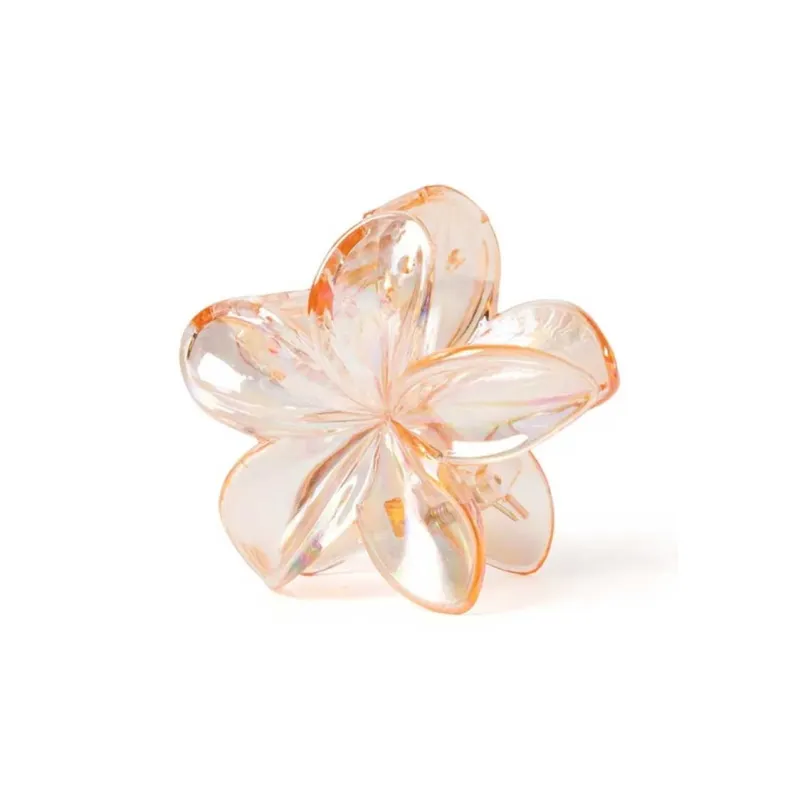 Specialoutlook Acrylic Hair Clips Women's-7