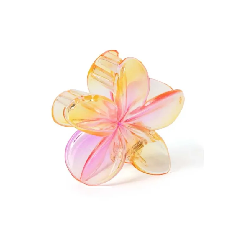 Specialoutlook Acrylic Hair Clips Women's-13