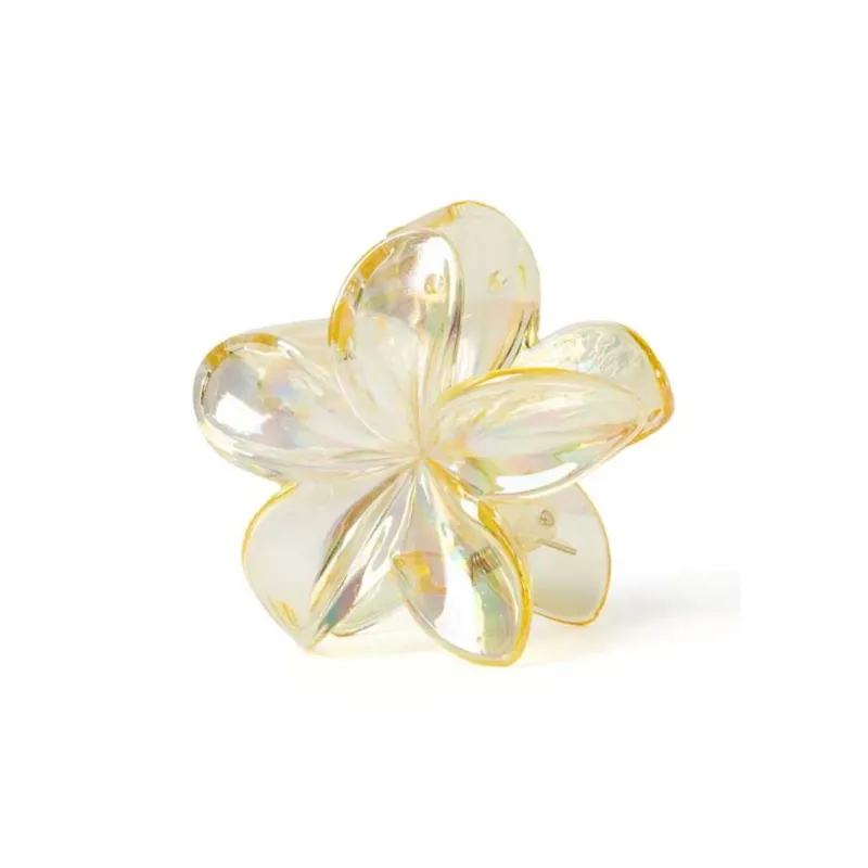 Specialoutlook Acrylic Hair Clips Women's-5