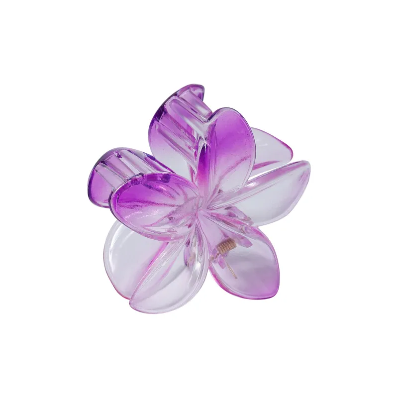 Specialoutlook Acrylic Hair Clips Women's-15