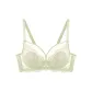 Cardamom Green[Single Pack Bra]