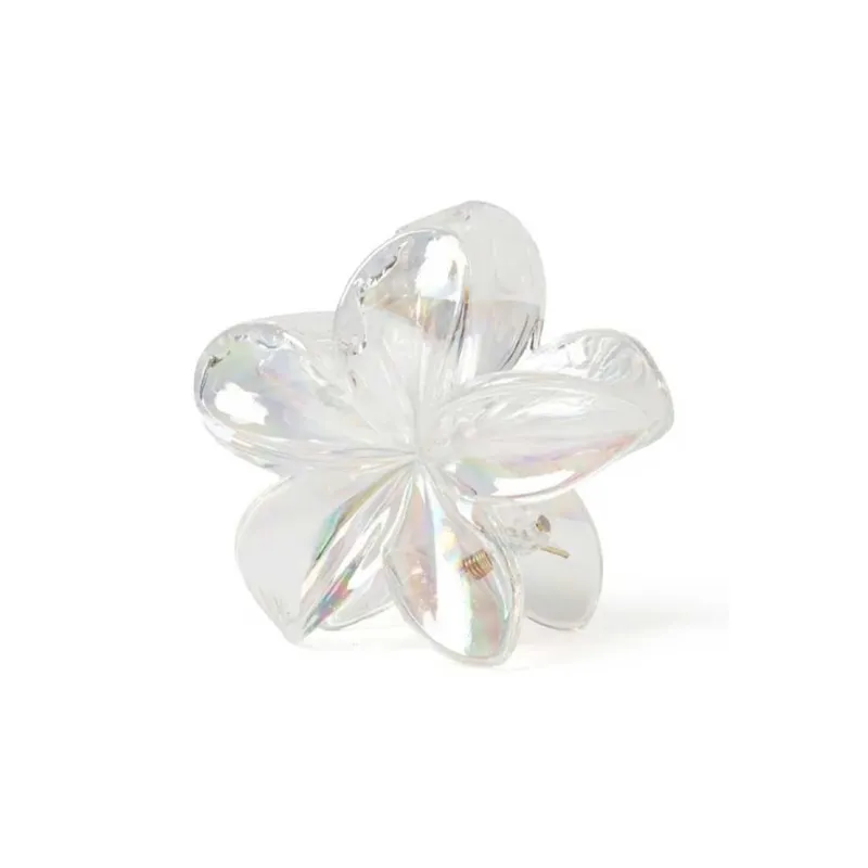 Specialoutlook Acrylic Hair Clips Women's-2