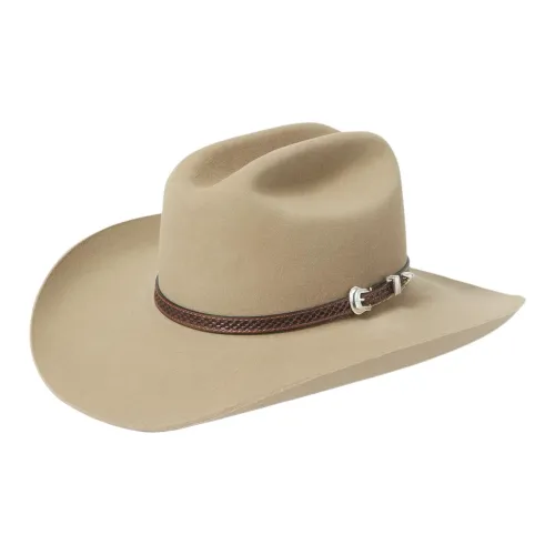 STETSON 기타 모자 남녀공용