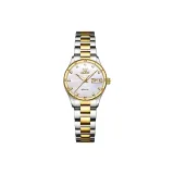 Steel Band White Dial