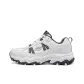 White Gray
