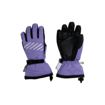 Phenix Ski Gloves