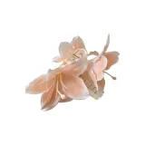 Champagne Lily Claw Clip