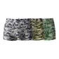 Light Gray-Army Green-Verdant Green