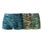 Gray Green-Army Green-Verdant Green