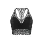 Midnight Black
