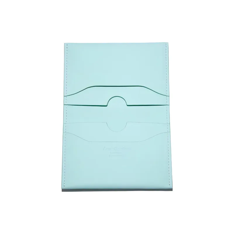 Acne Studios Calfskin Card Holder Card Holder Regular Women's Light Green-1