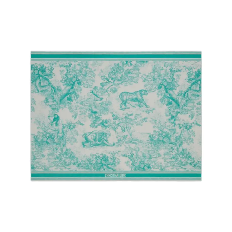 DIOR Cotton Knit Scarves Women's Sea Blue-0