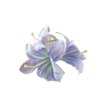 Connect The Past And The Present. Acrylic Hair Clips Women's