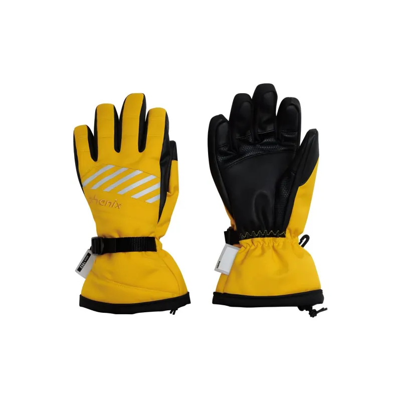 Phenix Ski Gloves-1