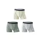 Verdant Green-Gray Green-Gray Blue