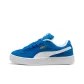 Blue/White