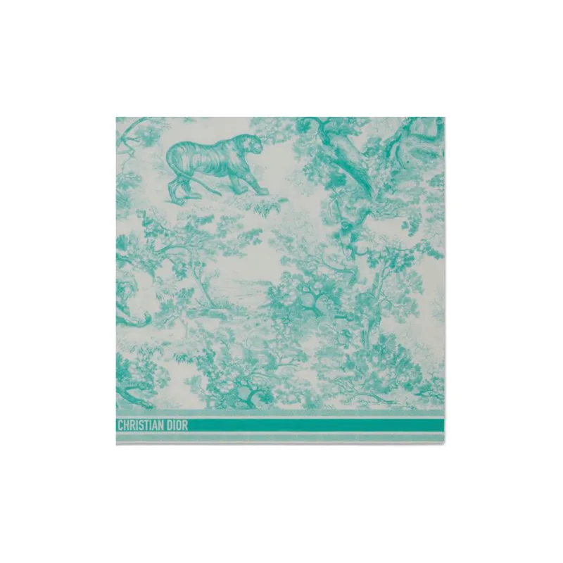 DIOR Cotton Knit Scarves Women's Sea Blue-2