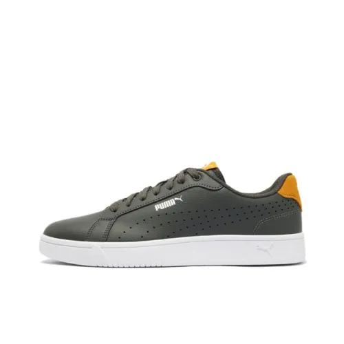 PUMA Grounded Perf Casual Shoes Unisex Low-Top Gray White