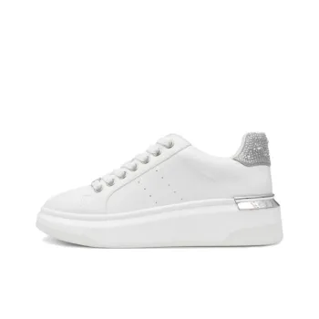 STEVE MADDEN Lightweight And Breathable Low-Top Skateboard Shoes Women's