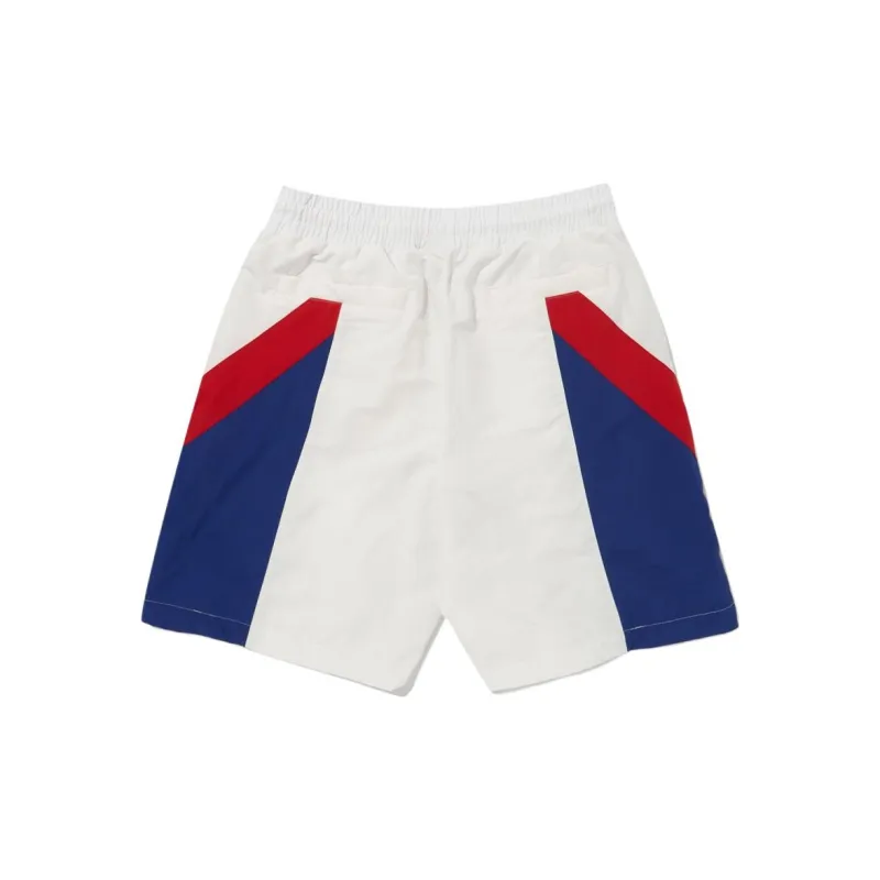 Reebok TWIN VECTOR Casual Shorts Men's Gray White-1
