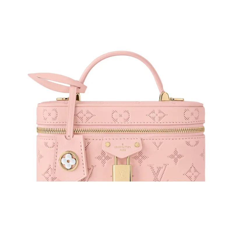 LOUIS VUITTON Vanity Pouch-3