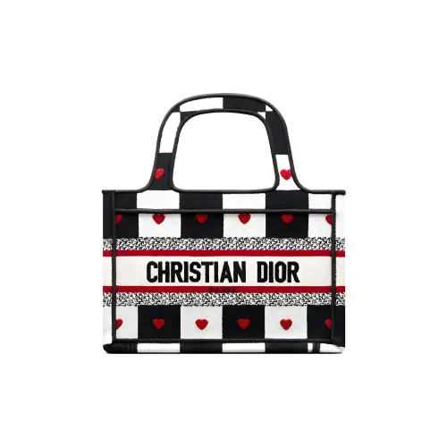 DIOR BookTote Handbags