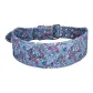 Paisley